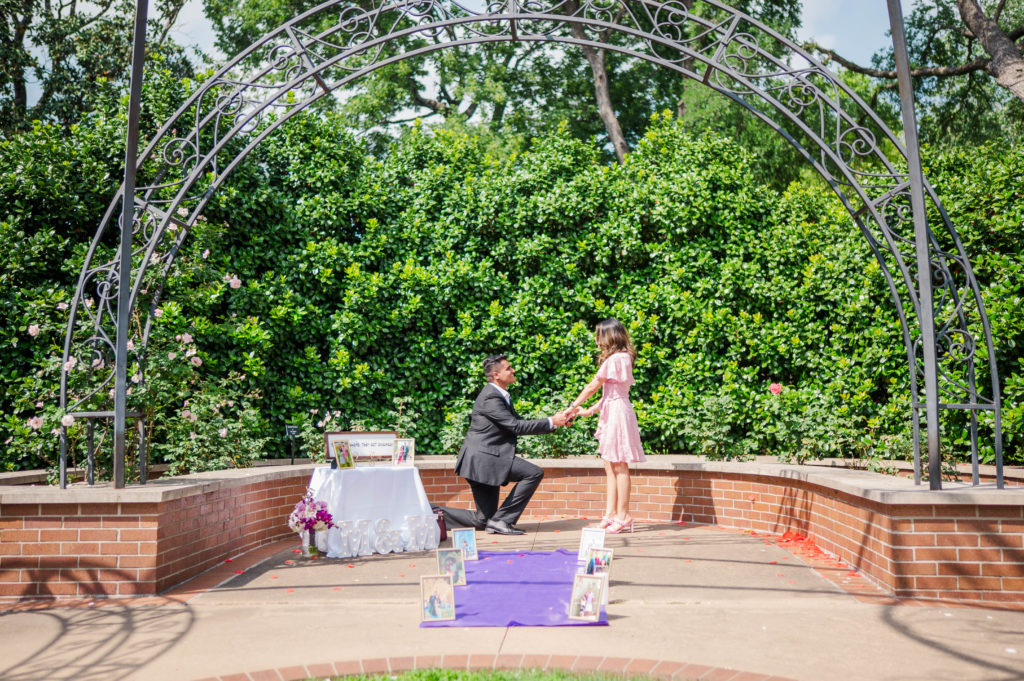 Proposal at the Dallas Arboretum & Botanical Gardens in the Rose Garden 