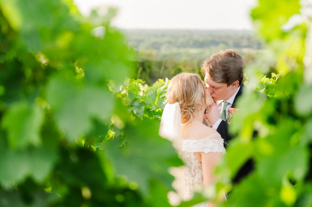 Shot between grape vines of bride and groom sharing a kiss at their Texas vineyard wedding